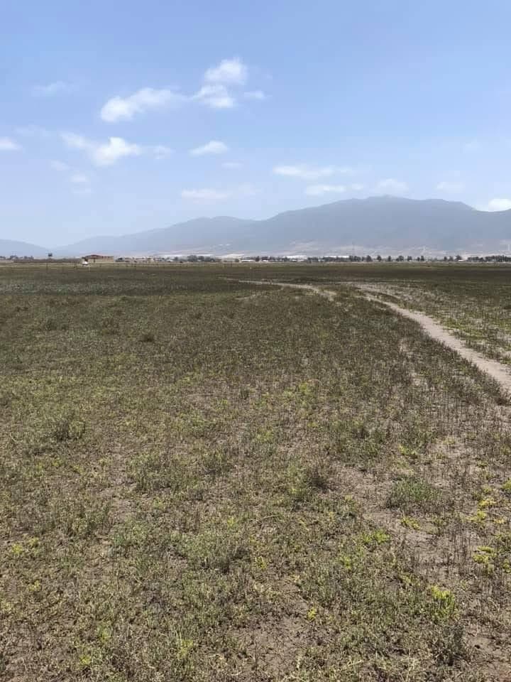 2.3 Hectare Coastal Property with Pacific Ocean Access — Ensenada photo